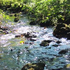 Feisternachtbachtal