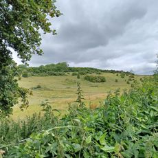 Roman road and 18th century coaching road N of Pyecombe church