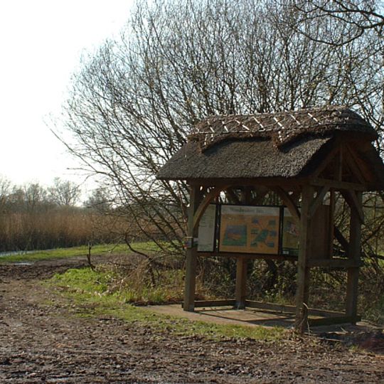 Woodwalton Fen