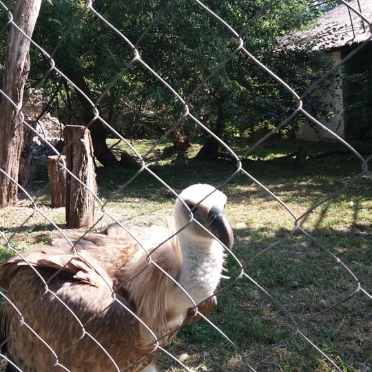 Palić Zoo