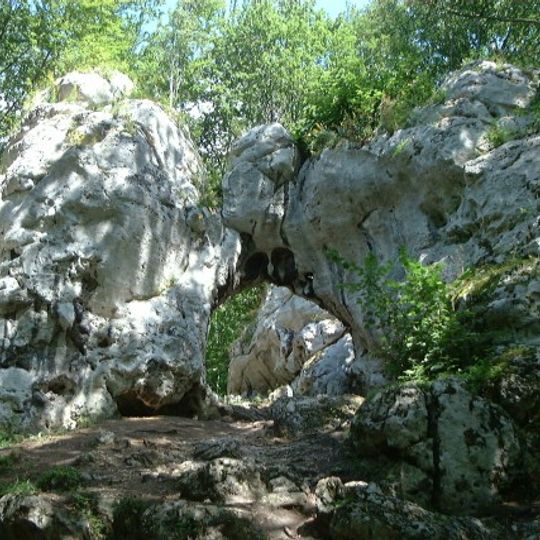 Rezerwat przyrody Parkowe