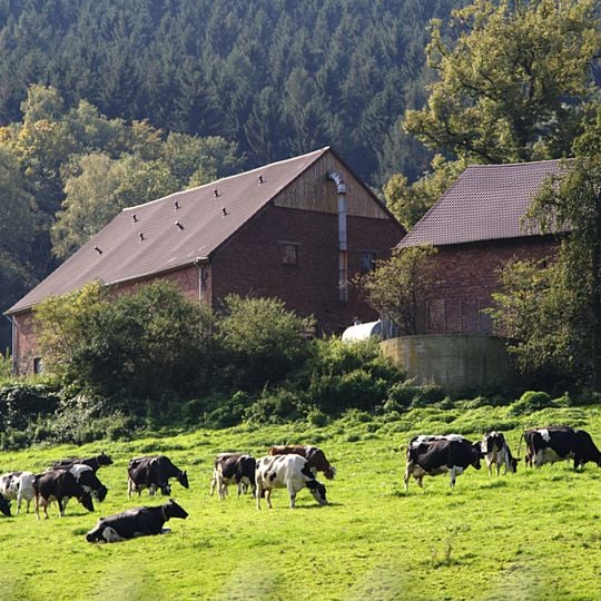 Landschaftsschutzgebiet Rafflenbeuler Kopf