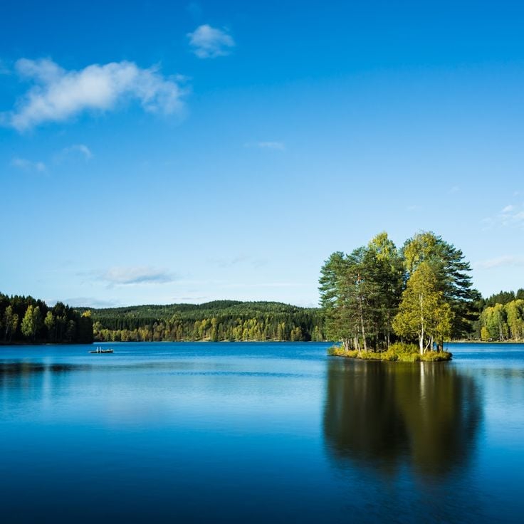 Sognsvann