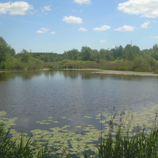 Skaidiškių tvenkinys