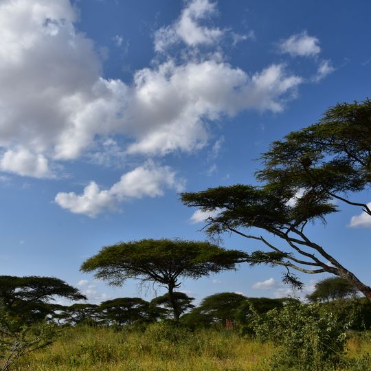 Yabelo Wildlife Sanctuary