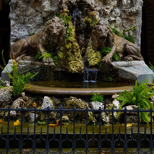 Fontana dei due leoni