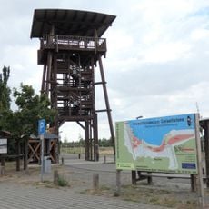 Leonhardt Observation Tower