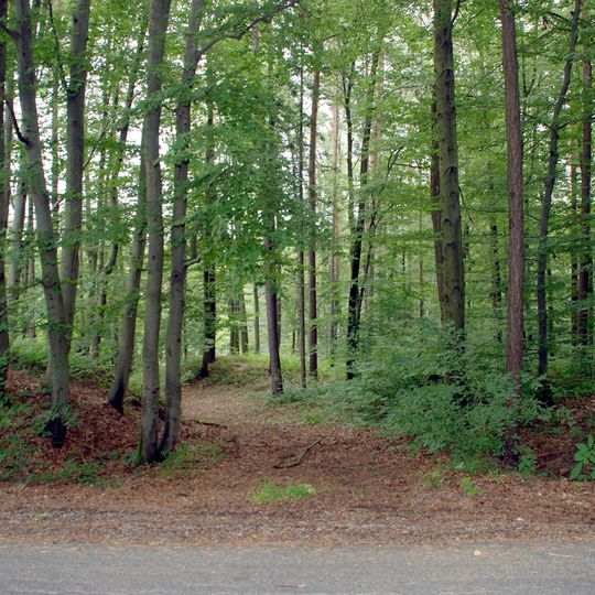 Hügelgräber Wetzelsdorfberg, Stainztal