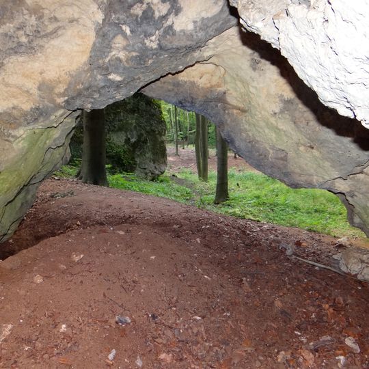 Schronisko z Dzikiem