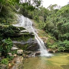 Tijuca Forest, Pretos Forros and Covanca – Tijuca National Park
