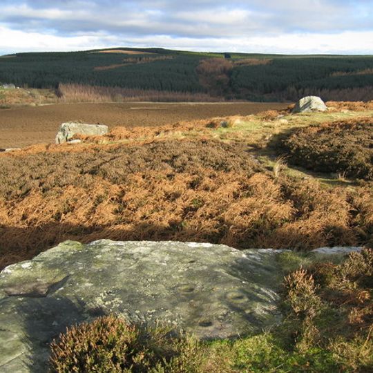 Prehistoric rock art and Runic inscription in Lemmington Wood