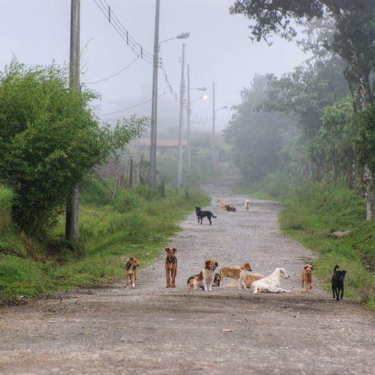 Dulce Nombre de Jesús