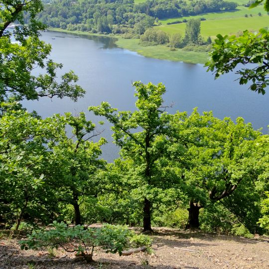 Kahle Haardt bei Scheid am Edersee