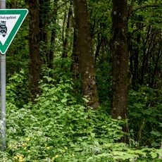 Naturschutzgebiet "Bostalsee" (N 6408-304)