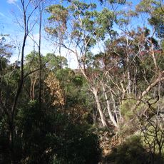 Werribee Gorge State Park