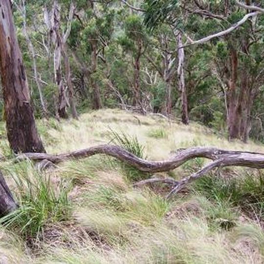 Mount Royal National Park