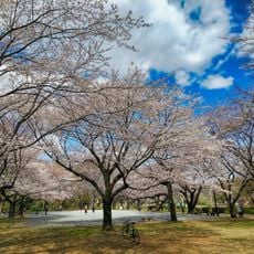 Higashimurayama-Chūō Park