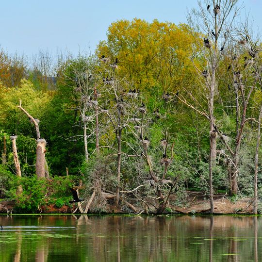 Pleidelsheimer Wiesental