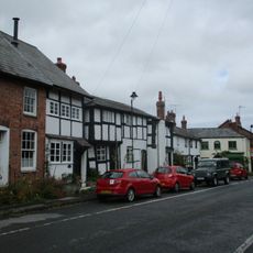 Forsythia And West Leigh