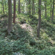 Cultural heritage D-5-6733-0012 in Allersberg