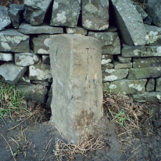 Milestone, Great Swinburne, by Peaslands Plantation