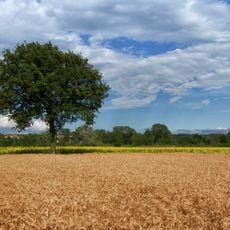 Riserva naturale Speciale Torrente Orba