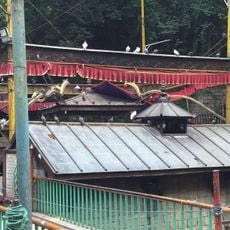 Dakshinkali Temple