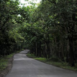 Parc national d'Anshi