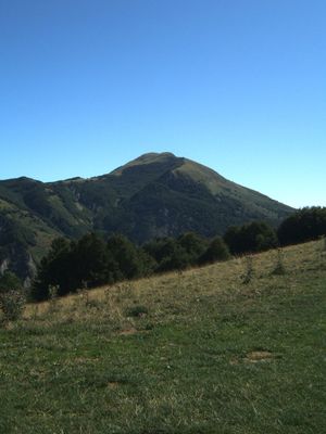 Immagine alternativa