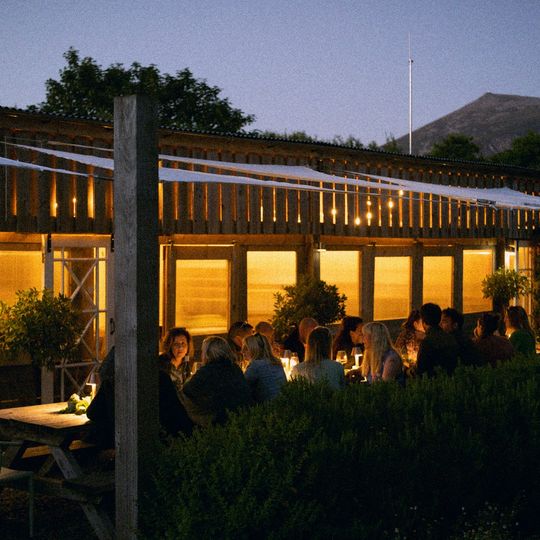 Bert's Kitchen Garden