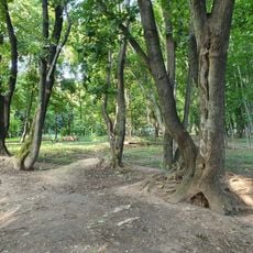 Усадьба Богородское (Воронино)