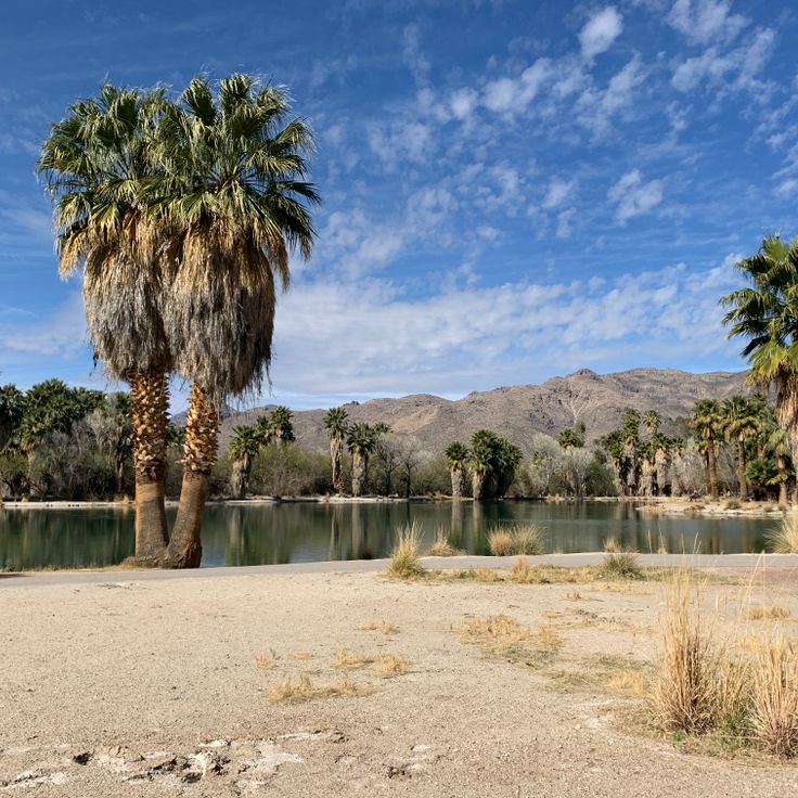 Agua Caliente Park