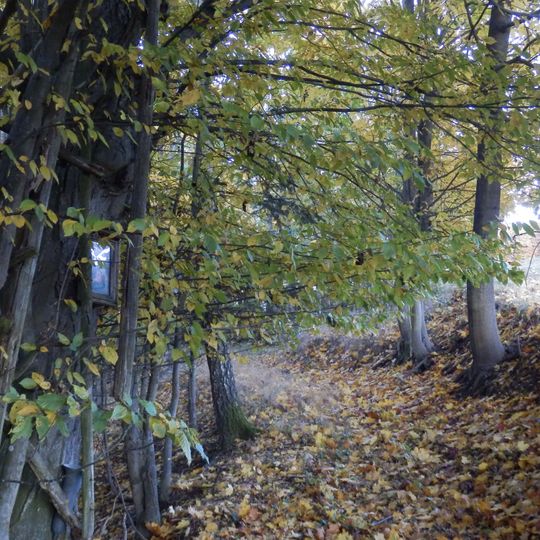 Bildbaum Teichleiten