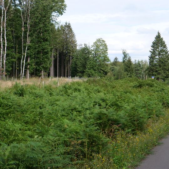 Osthertogenwald around Raeren