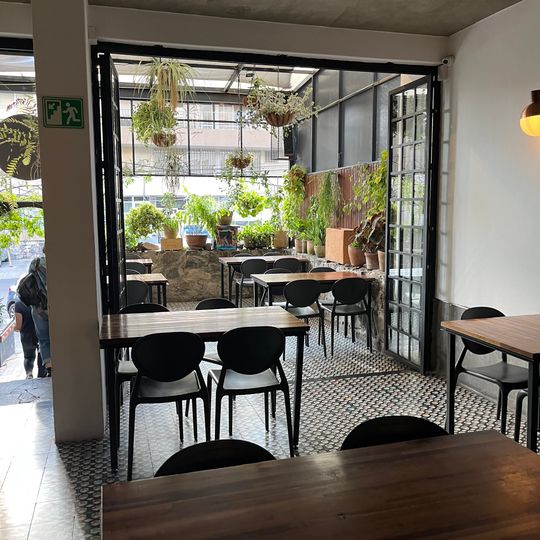 Café palReal