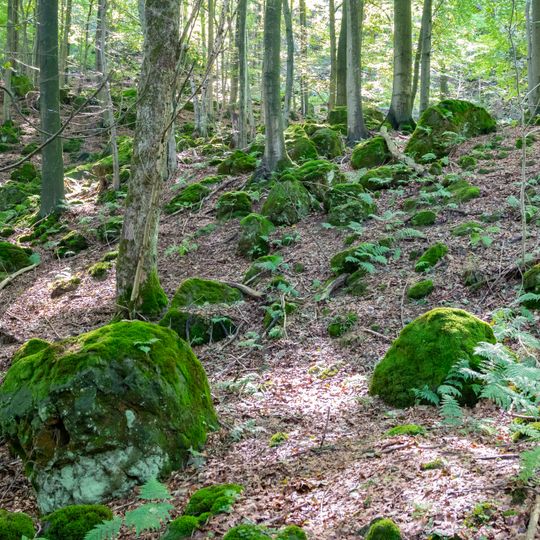 NSG Klippen und Felsenmeer bei Hardehausen