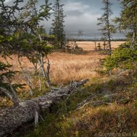 Provincia de Vestrobotnia