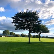 Eamonn Ceannt Park