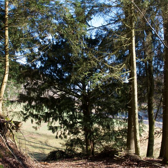 Eibe von Zissingdorf