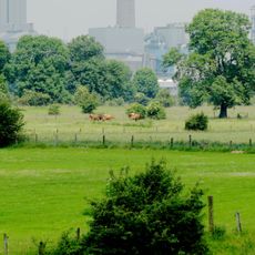 NSG Rheinaue Binsheim