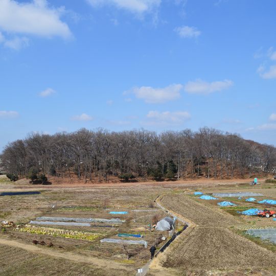 Ōta Tenjin-yama Kofun