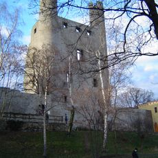 Burgruine Hoher Schwarm