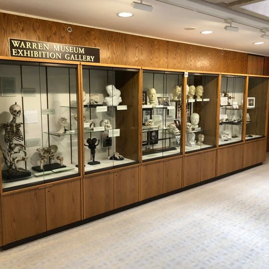 Warren Anatomical Museum