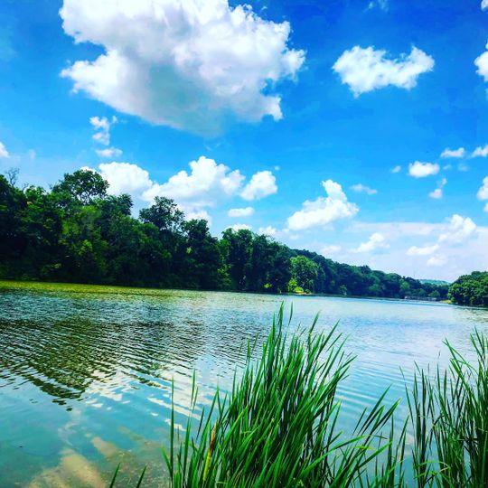 Canonsburg Lake