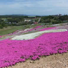 Omori Park