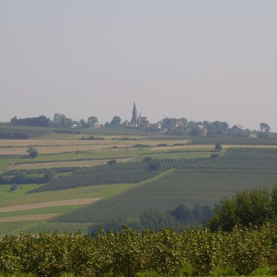 Góra Świętego Jana, Limanowa County