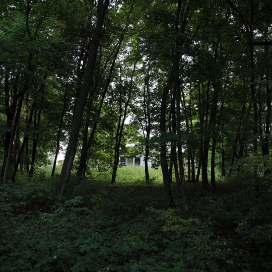 Manor park in Kupientyn