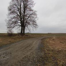 Kříž západně od Zmišovic