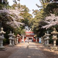 Kamisu