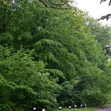 Bobly protected tract